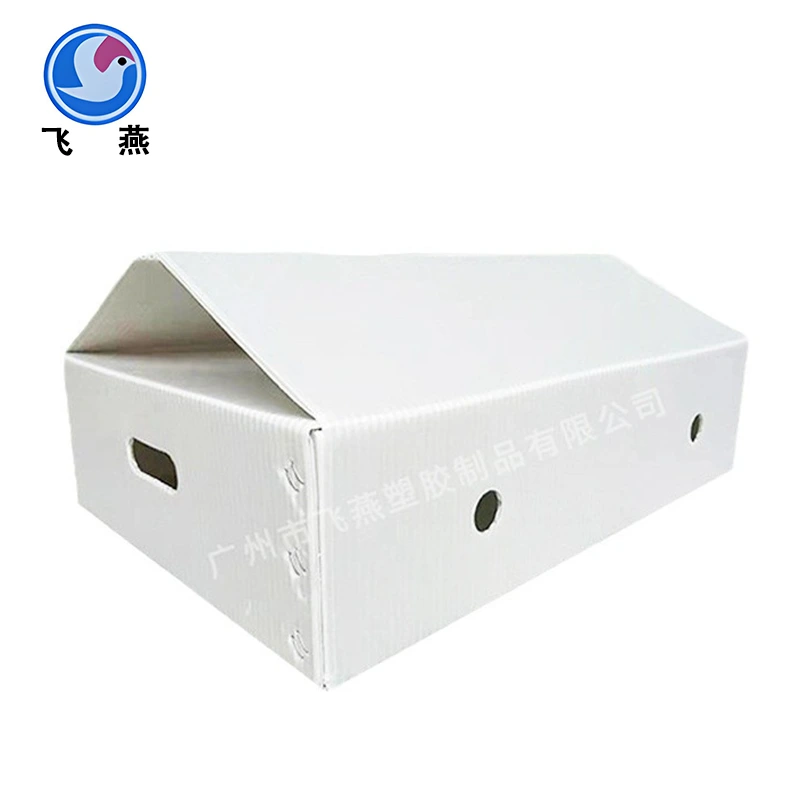 Ibhokisi le-Green Plant PE Holow Board